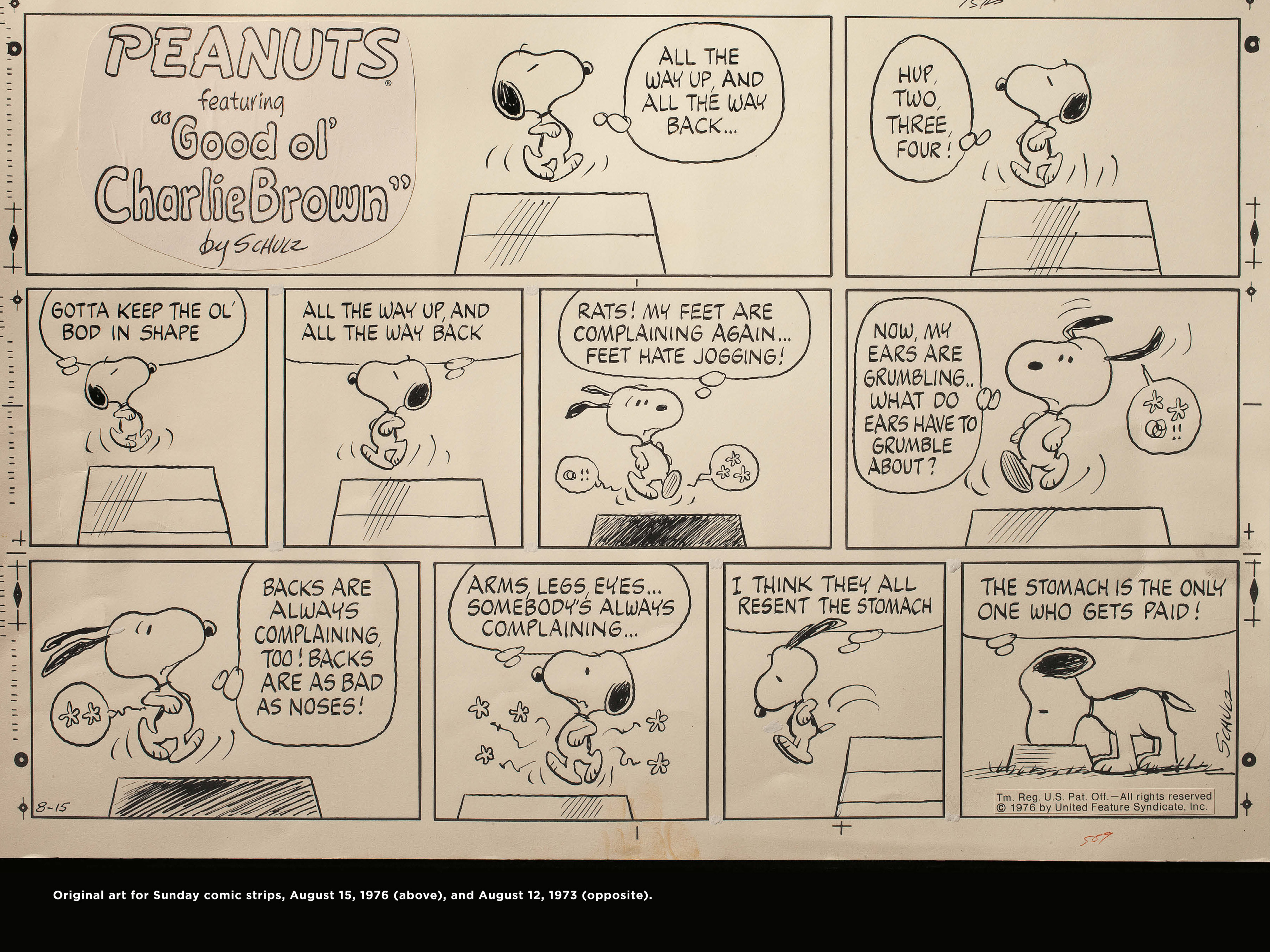 Read online Only What's Necessary: Charles M. Schulz and the Art of Peanuts comic -  Issue # TPB (Part 3) - 35