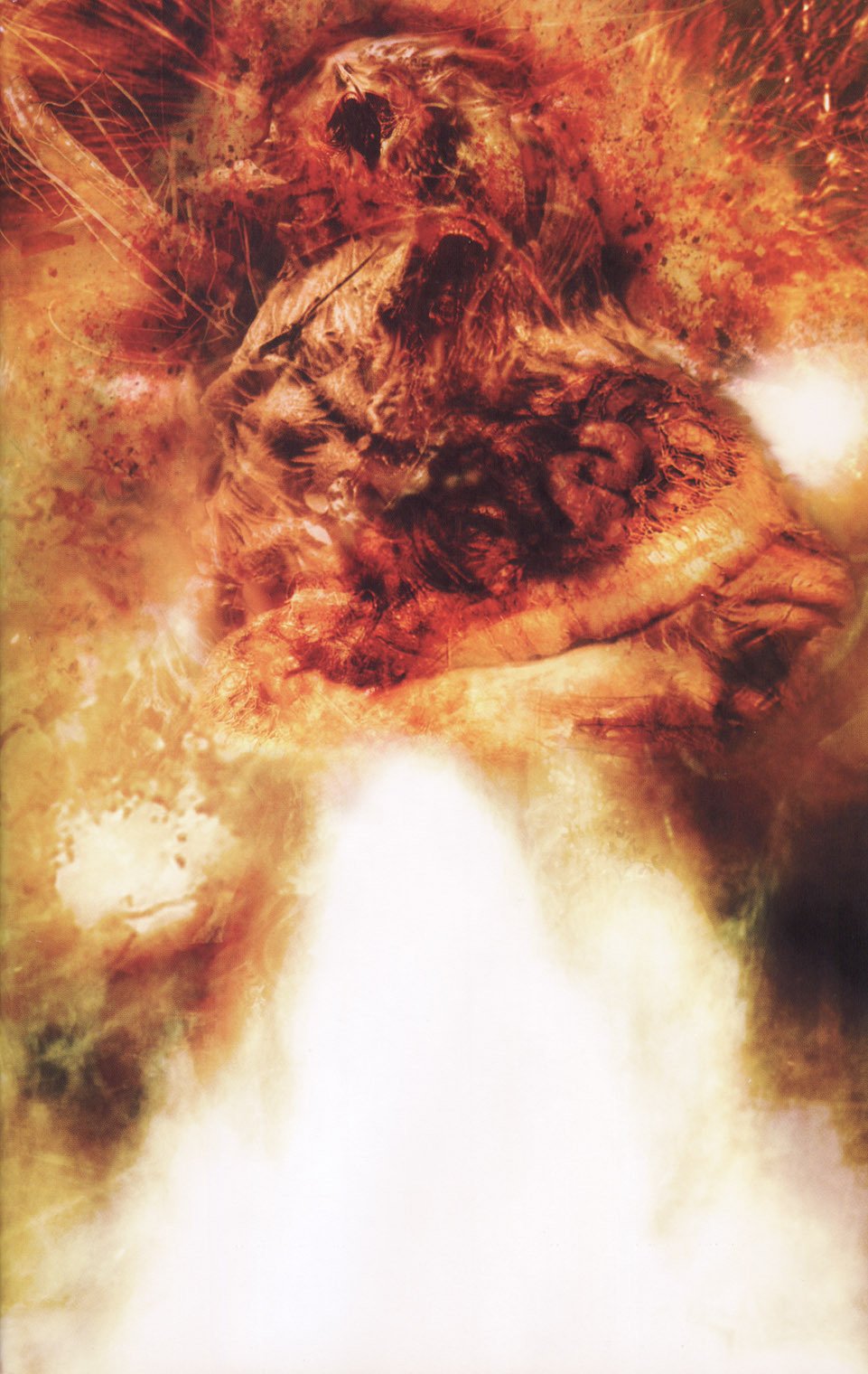 Read online Ascend comic -  Issue # TPB - 124