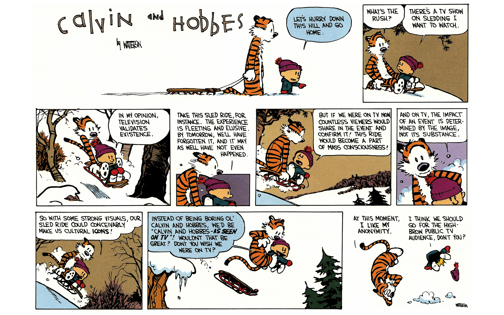 Read online Calvin and Hobbes comic -  Issue #6 - 93