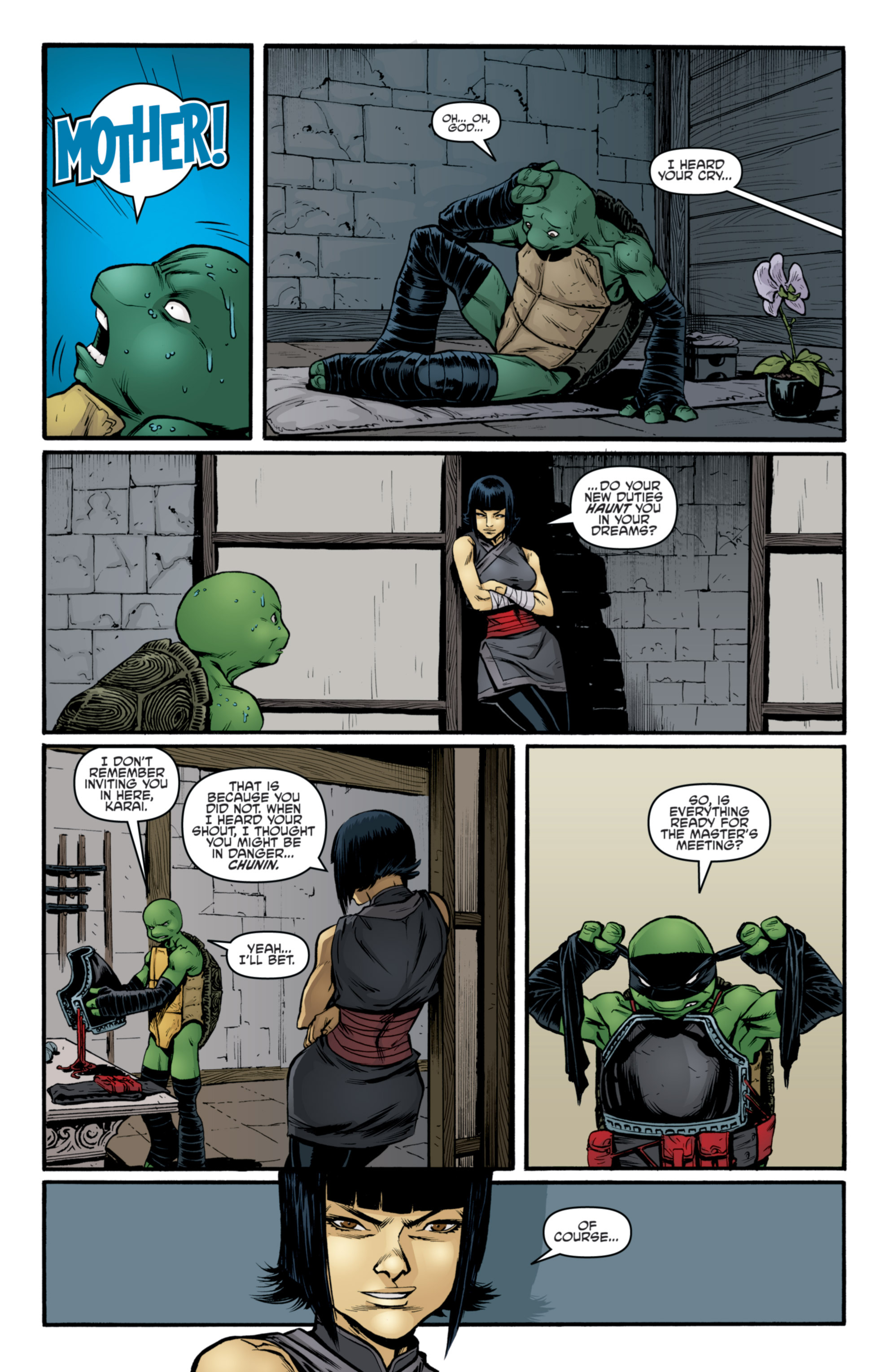 Read online Teenage Mutant Ninja Turtles (2011) comic -  Issue #27 - 15