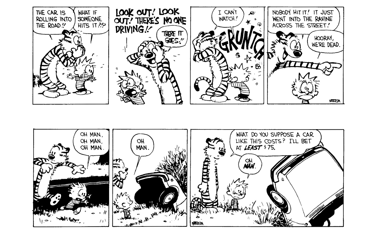Calvin and Hobbes issue 5 - Page 103