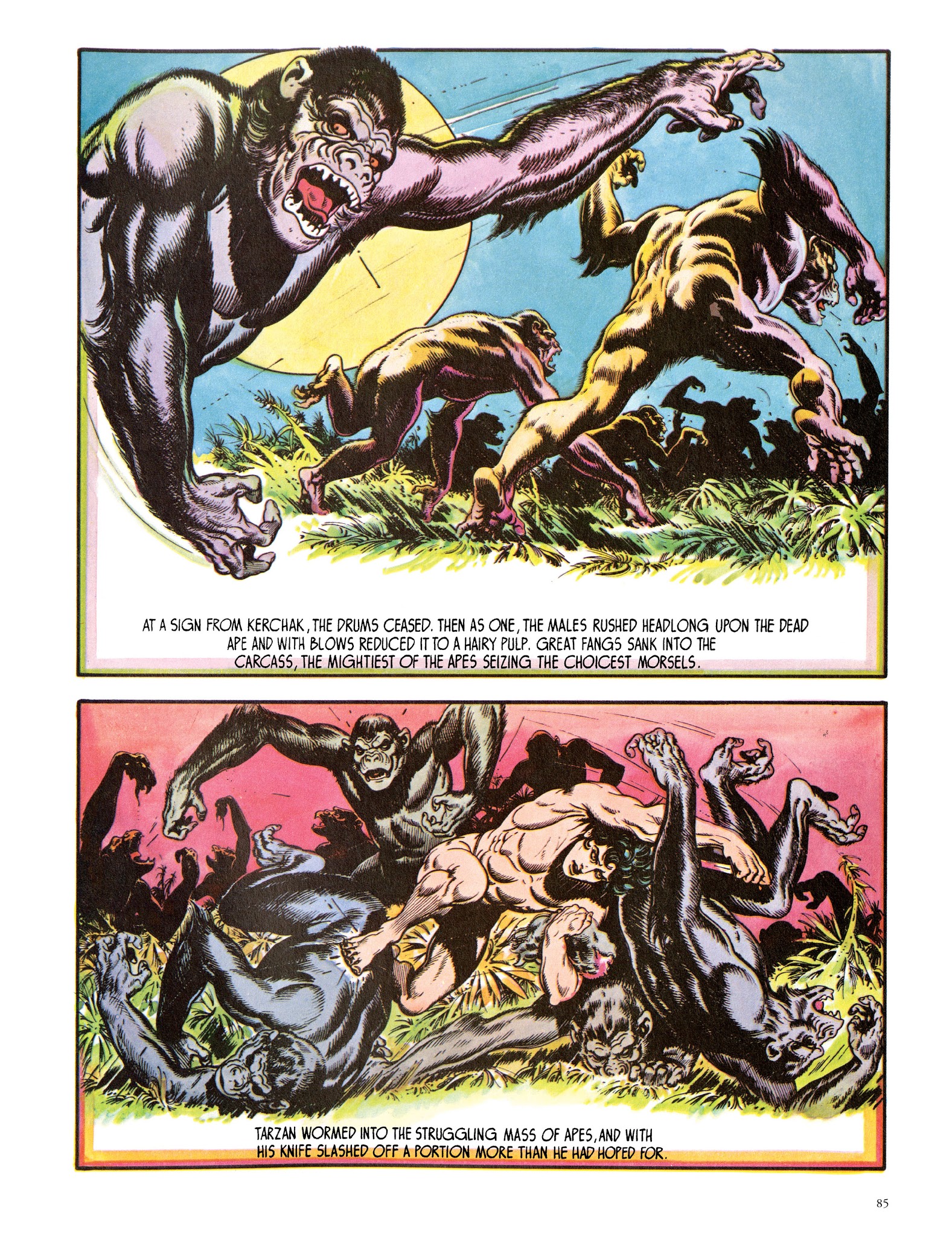 Read online Edgar Rice Burroughs' Tarzan: Burne Hogarth's Lord of the Jungle comic -  Issue # TPB - 85