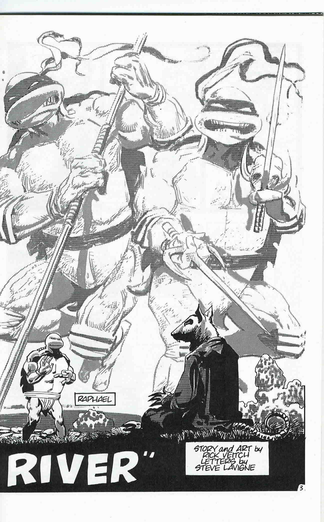 Read online Teenage Mutant Ninja Turtles (1984) comic -  Issue #24 - 4