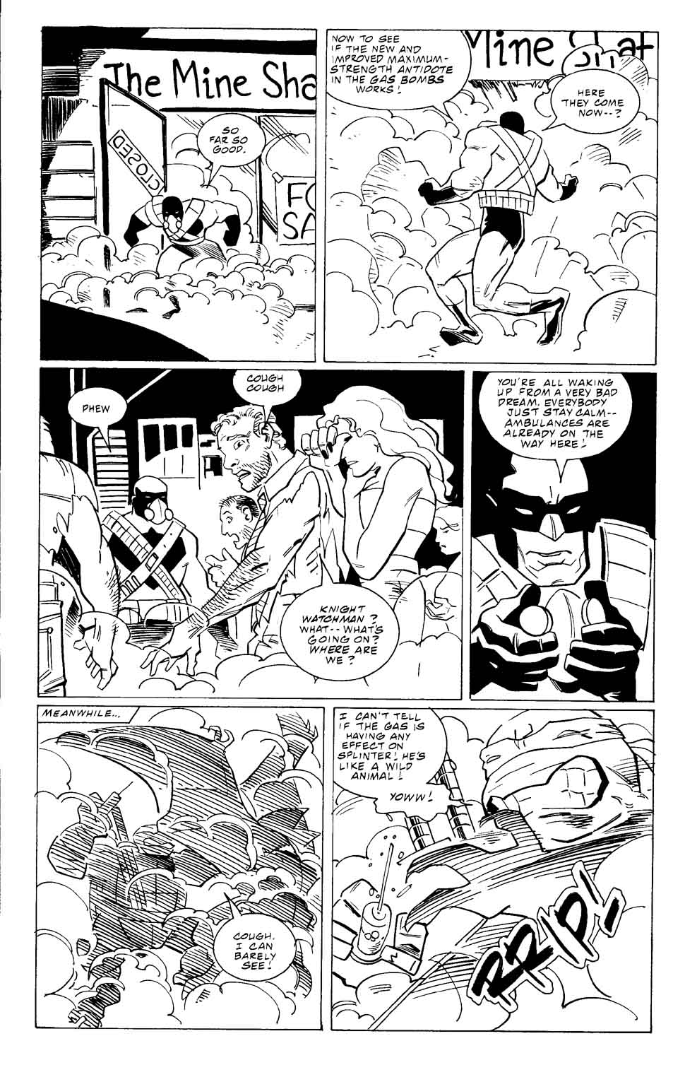 Teenage Mutant Ninja Turtles (1996) Issue #9 #9 - English 20