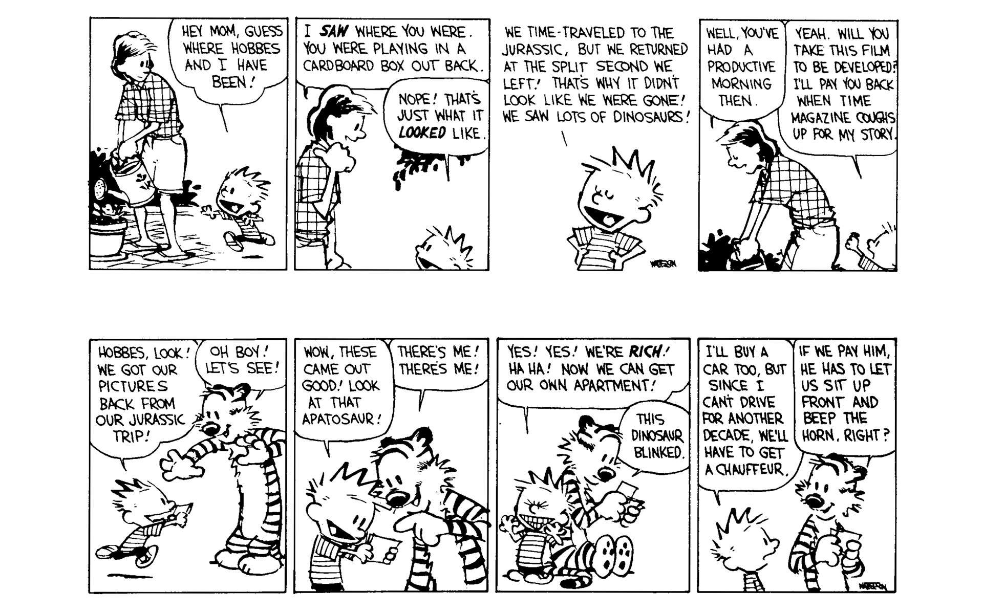 Read online Calvin and Hobbes comic -  Issue #6 - 168