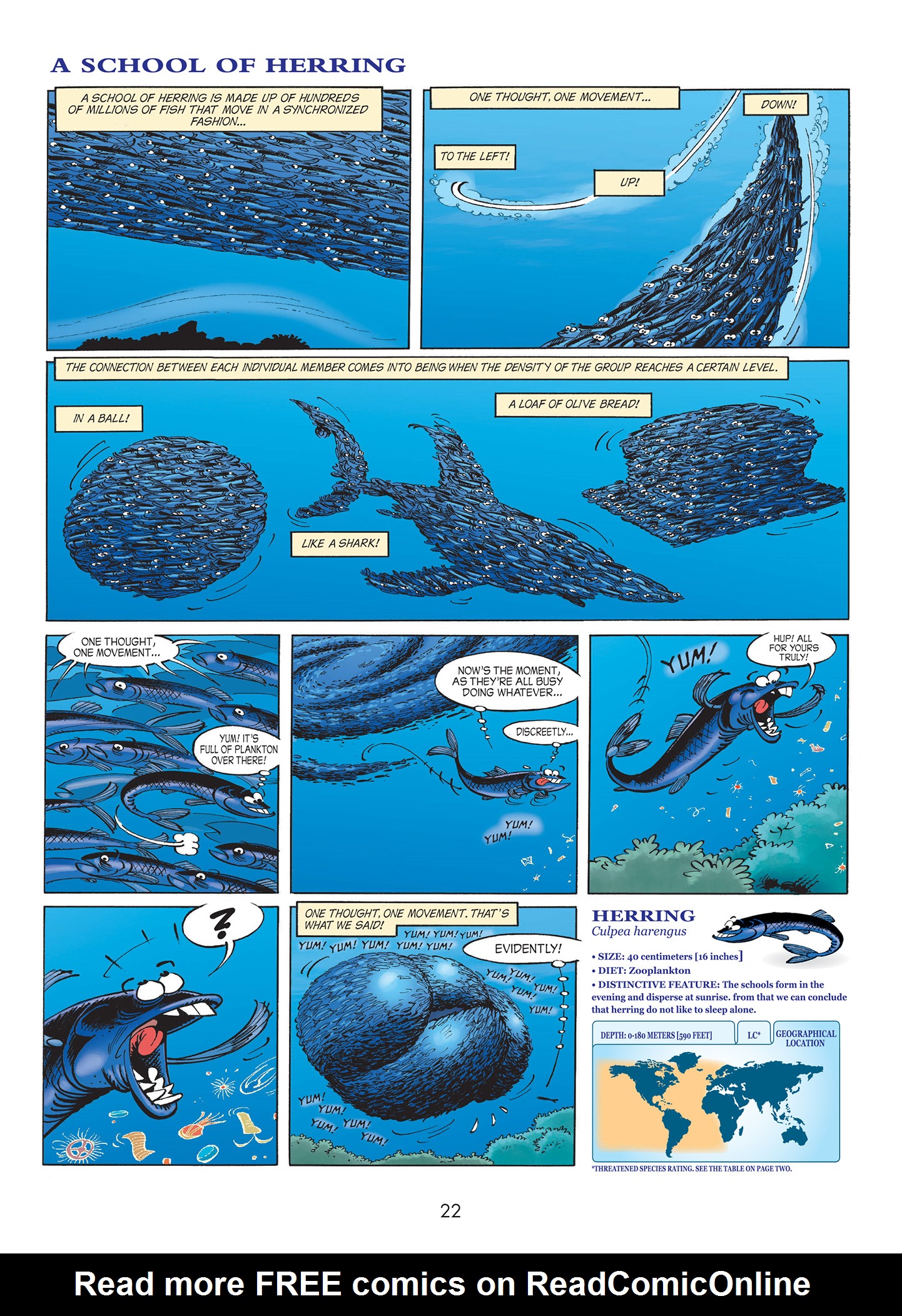 Read online Sea Creatures comic -  Issue #1 - 24