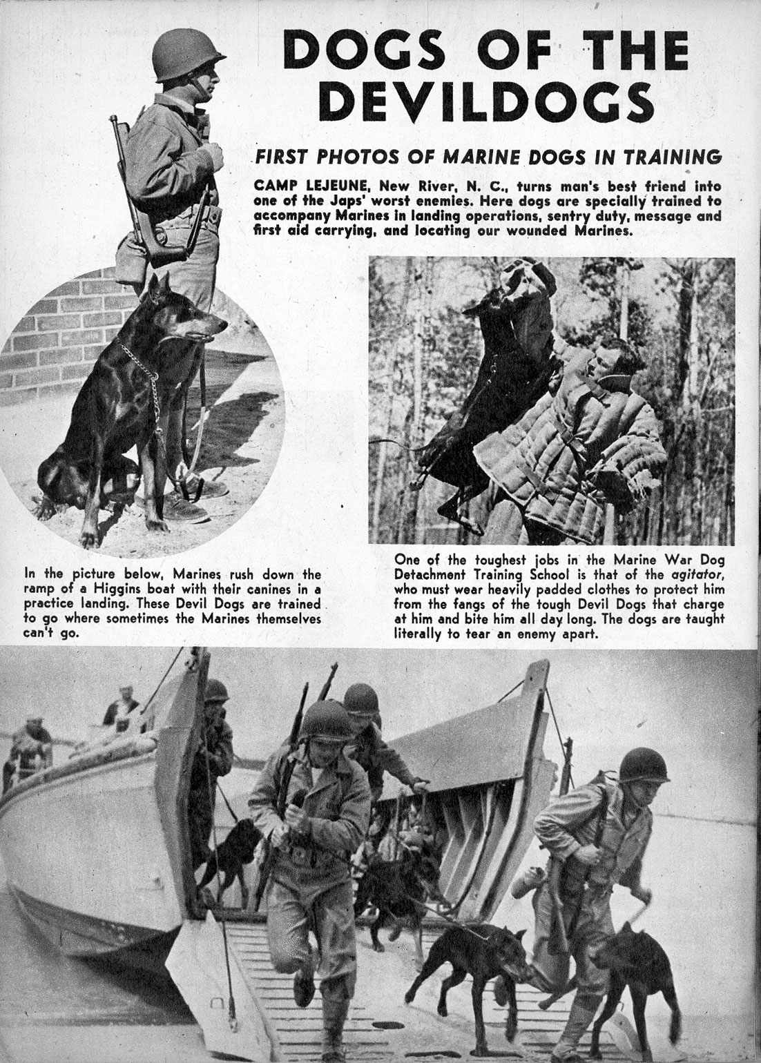 Read online United States Marines comic -  Issue #2 - 22