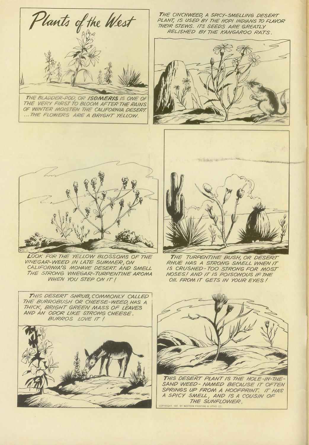 Read online The Lone Ranger (1948) comic -  Issue #116 - 2
