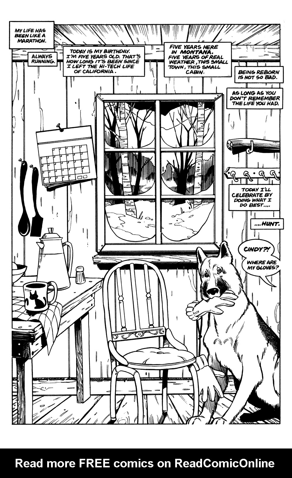 Read online Amanda & Gunn comic -  Issue #1 - 4