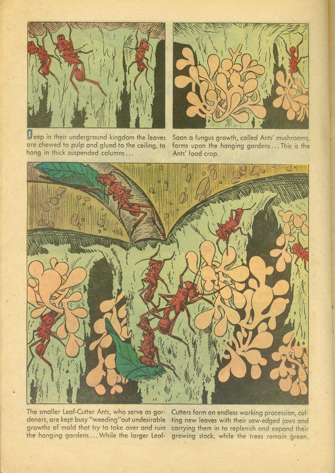 Read online Four Color Comics comic -  Issue #749 - 22