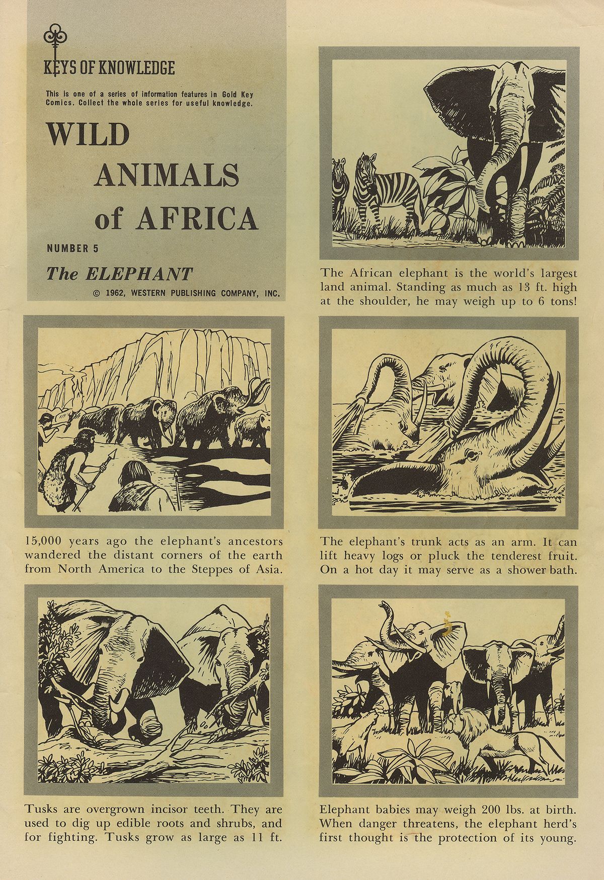 Read online Turok, Son of Stone comic -  Issue #31 - 35