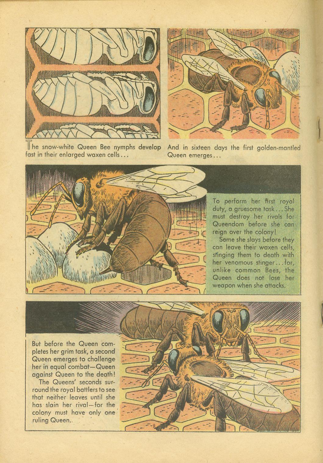 Read online Four Color Comics comic -  Issue #749 - 18