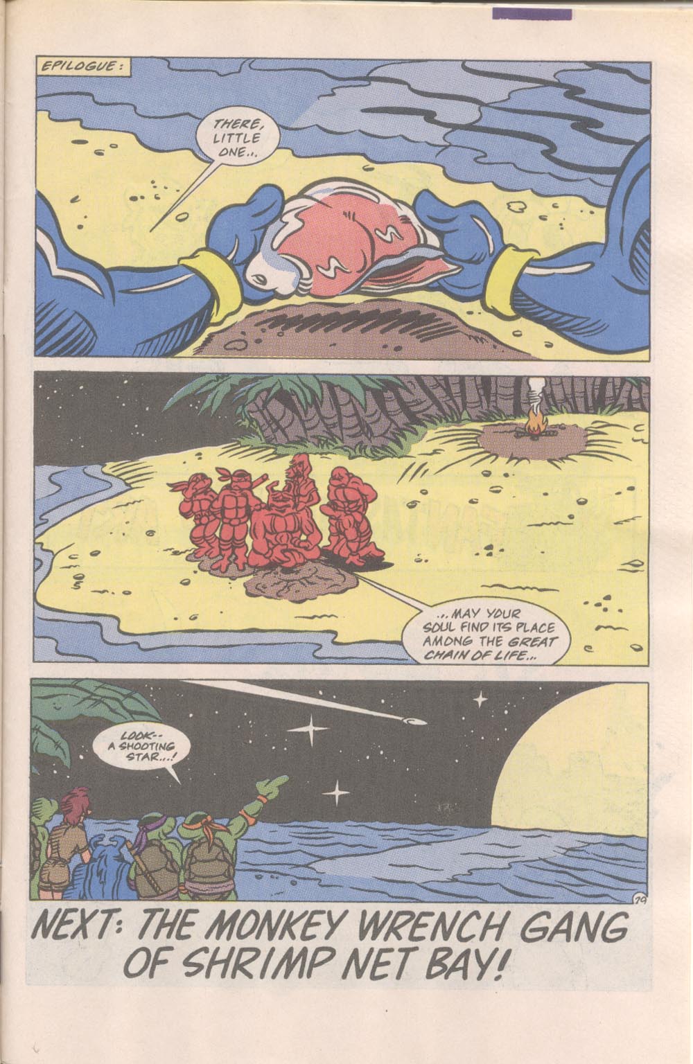 Read online Teenage Mutant Ninja Turtles Adventures (1989) comic -  Issue #16 - 30