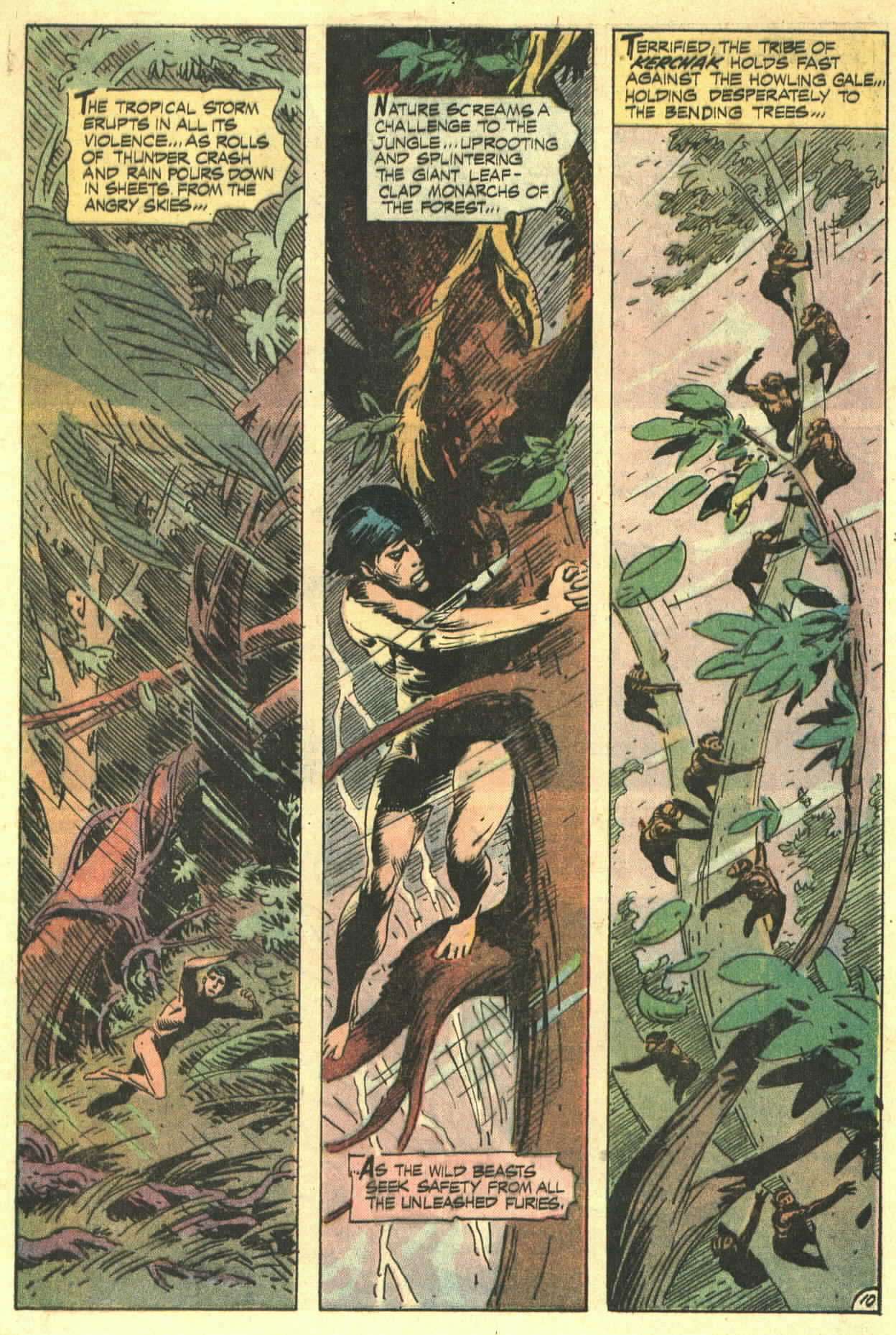 Read online Tarzan (1972) comic -  Issue #208 - 11