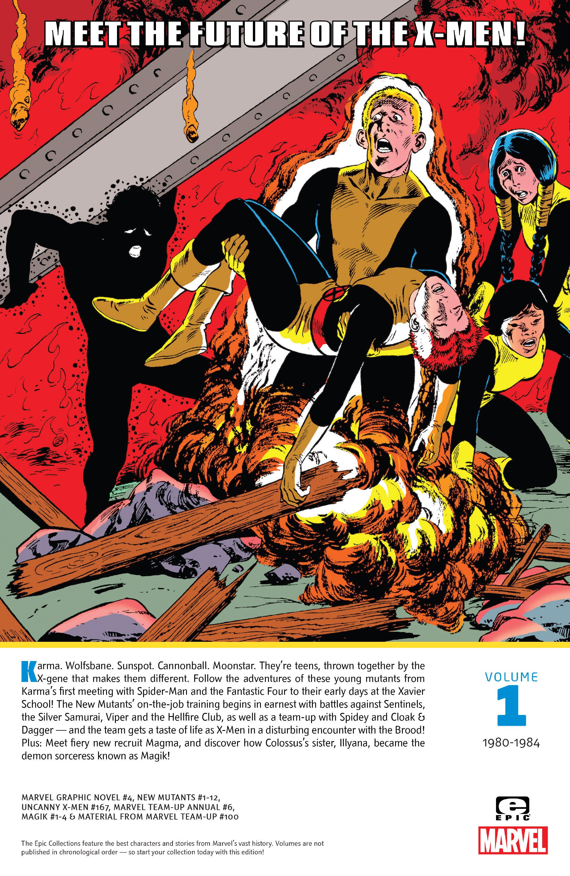 Read online New Mutants Epic Collection comic -  Issue # TPB Renewal (Part 5) - 19