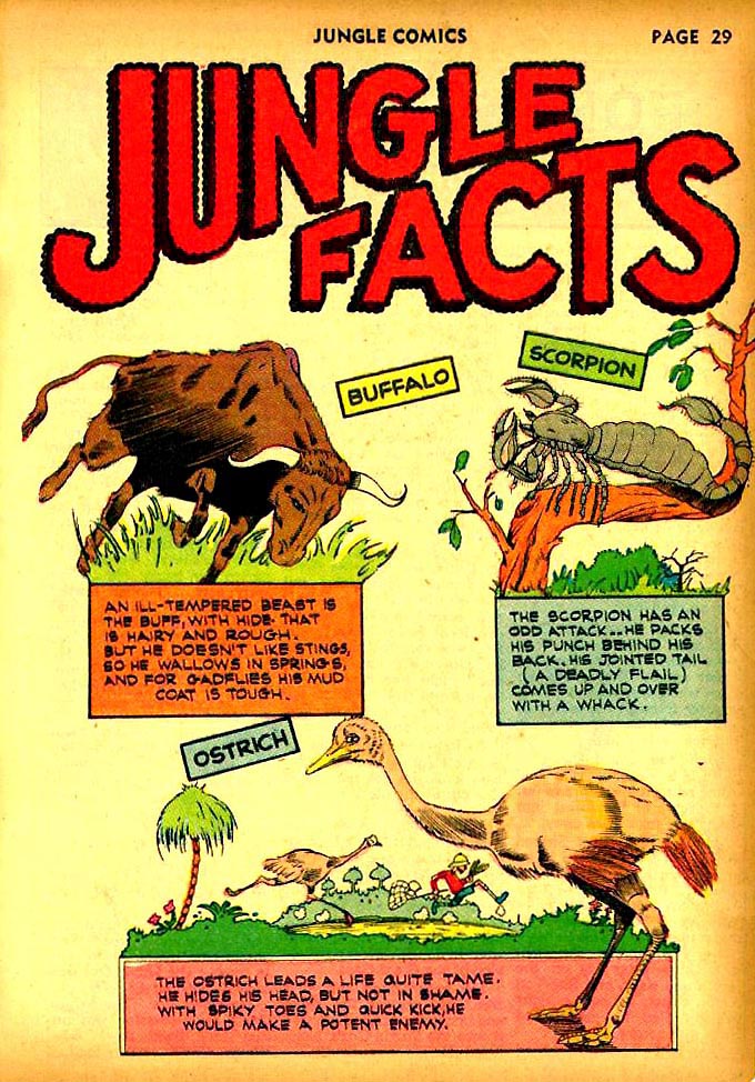 Read online Jungle Comics comic -  Issue #23 - 33
