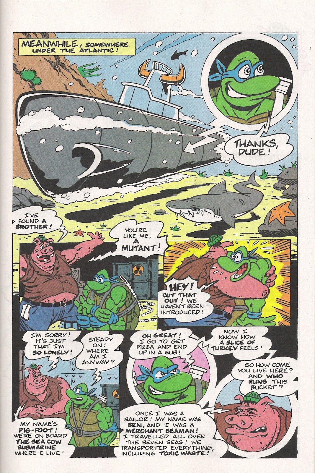 Teenage Mutant Ninja Turtles Adventures (1989) issue Special 5 - Page 14