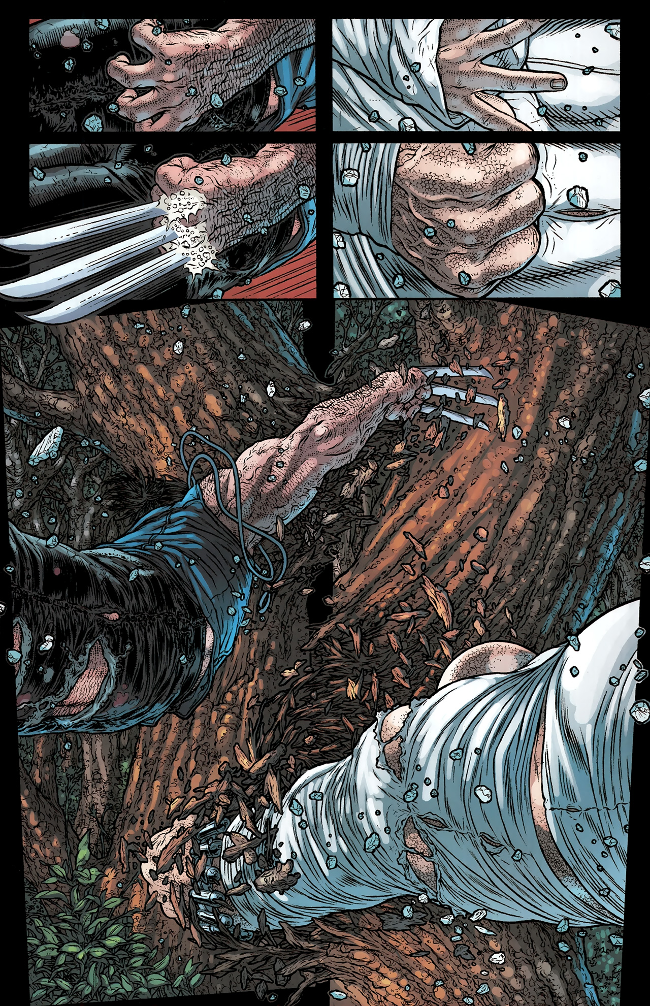 Read online Wolverine: The Best There Is comic -  Issue #10 - 14