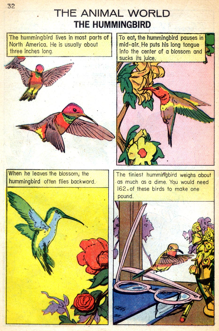 Read online Classics Illustrated Junior comic -  Issue #576 - 34