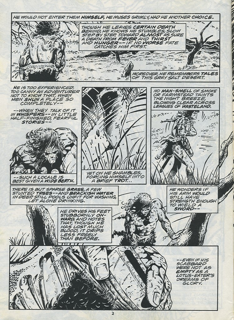 Read online The Savage Sword Of Conan comic -  Issue #221 - 4