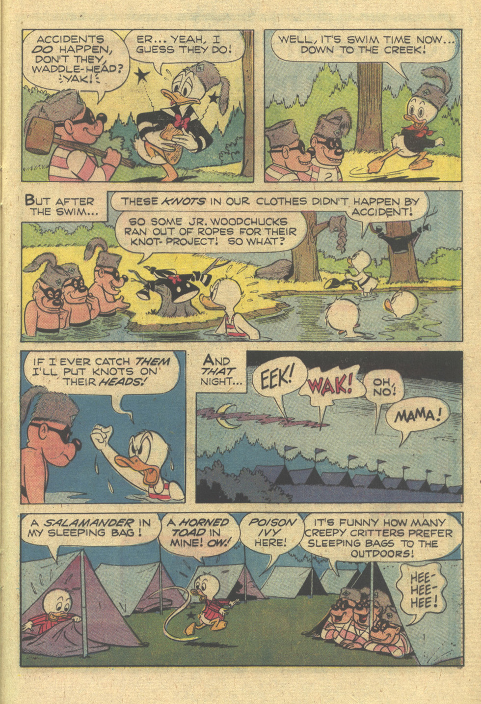 Read online Huey, Dewey, and Louie Junior Woodchucks comic -  Issue #42 - 29
