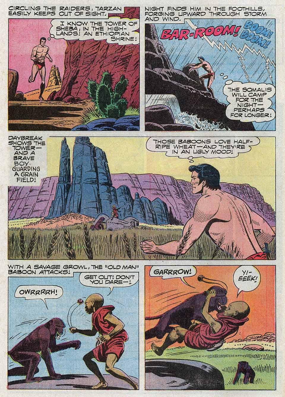 Read online Tarzan (1962) comic -  Issue #204 - 8