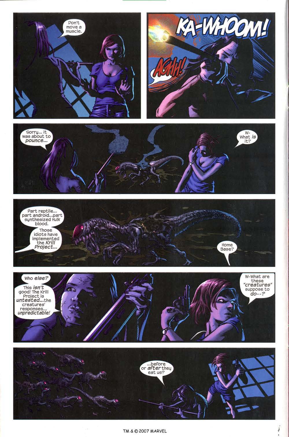 The Incredible Hulk (2000) issue 62 - Page 14