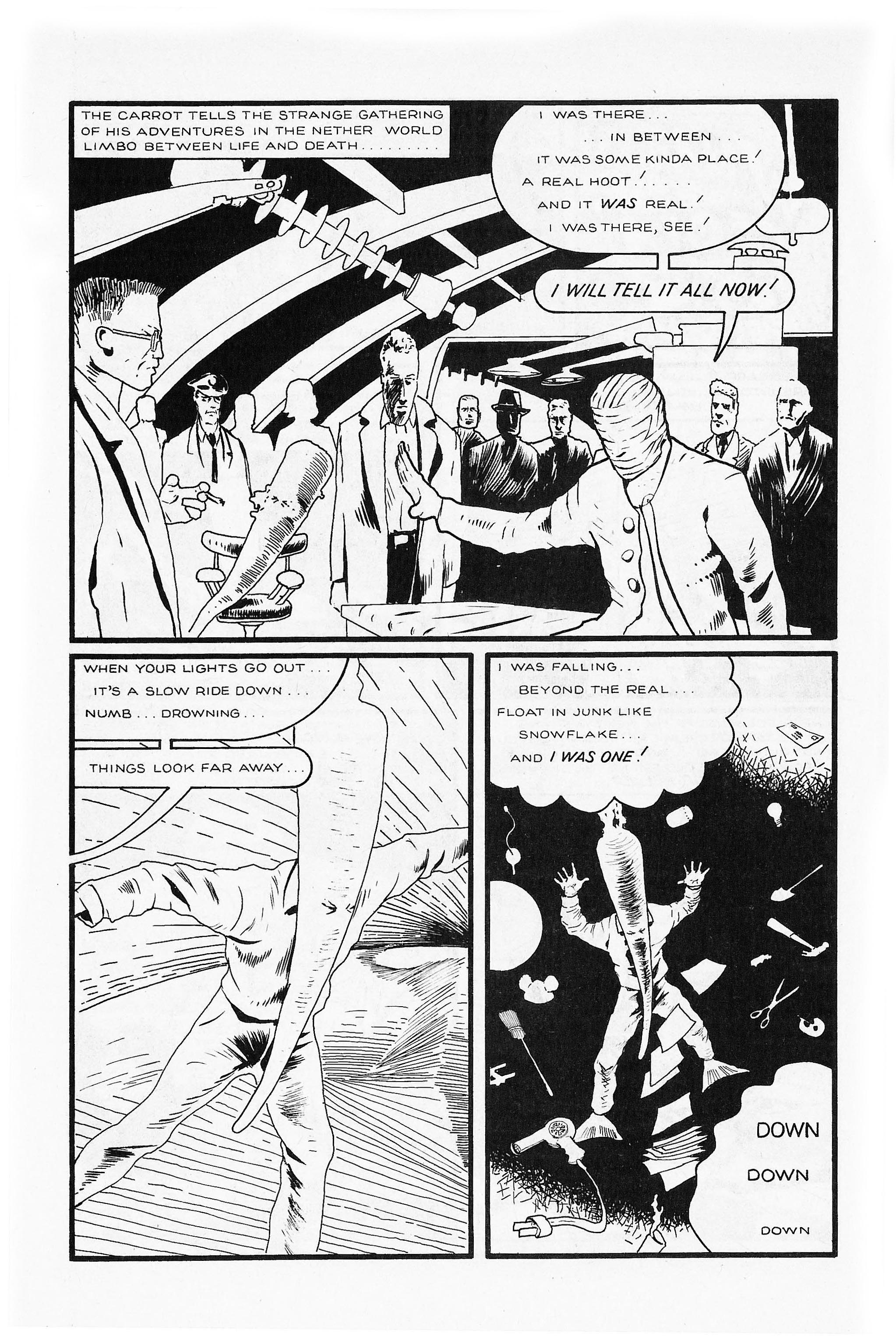 Read online Flaming Carrot Comics (1984) comic -  Issue #8 - 6