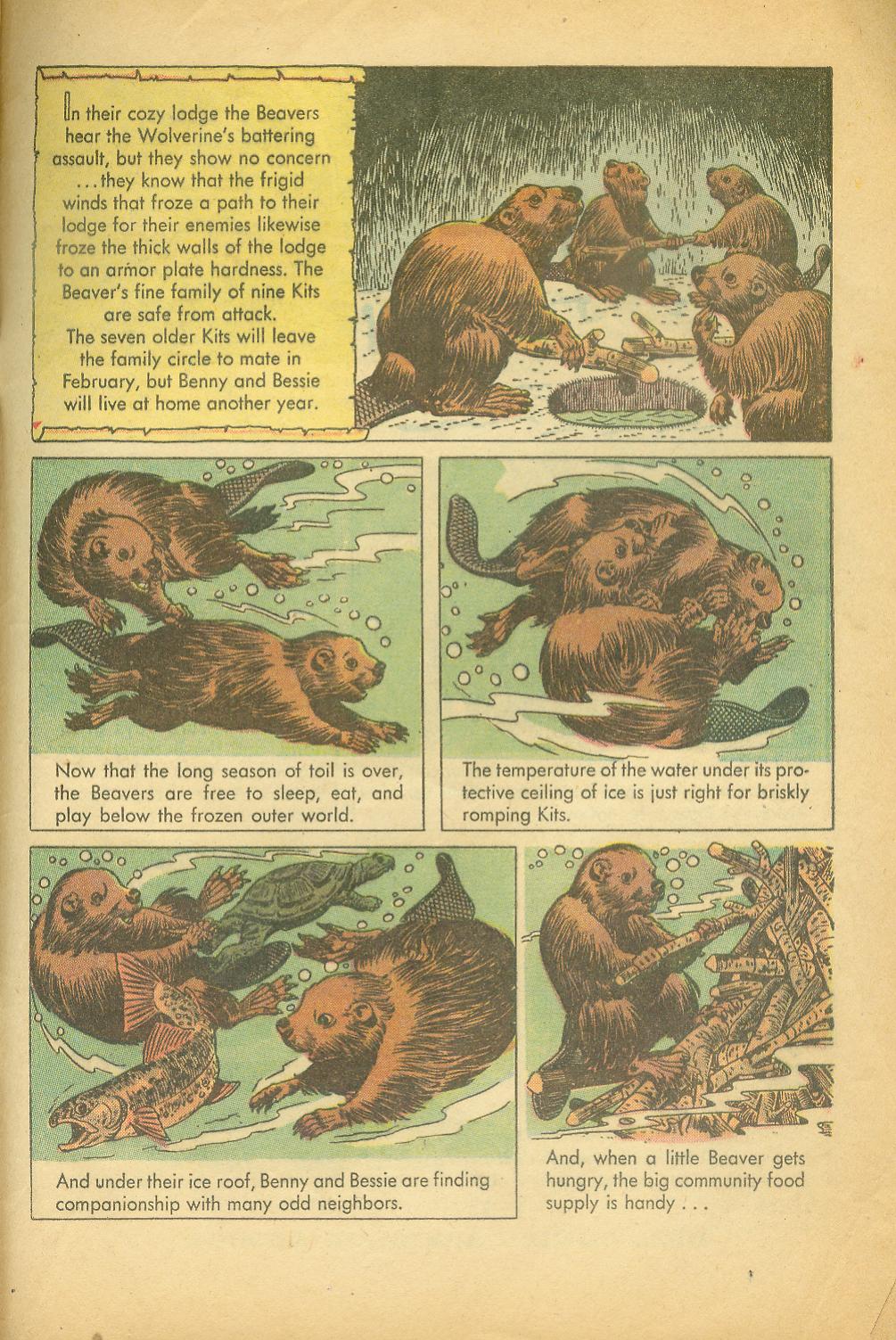 Read online Four Color Comics comic -  Issue #625 - 33