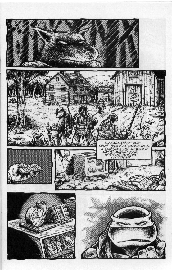 Read online Teenage Mutant Ninja Turtles (1984) comic -  Issue #50 - 11