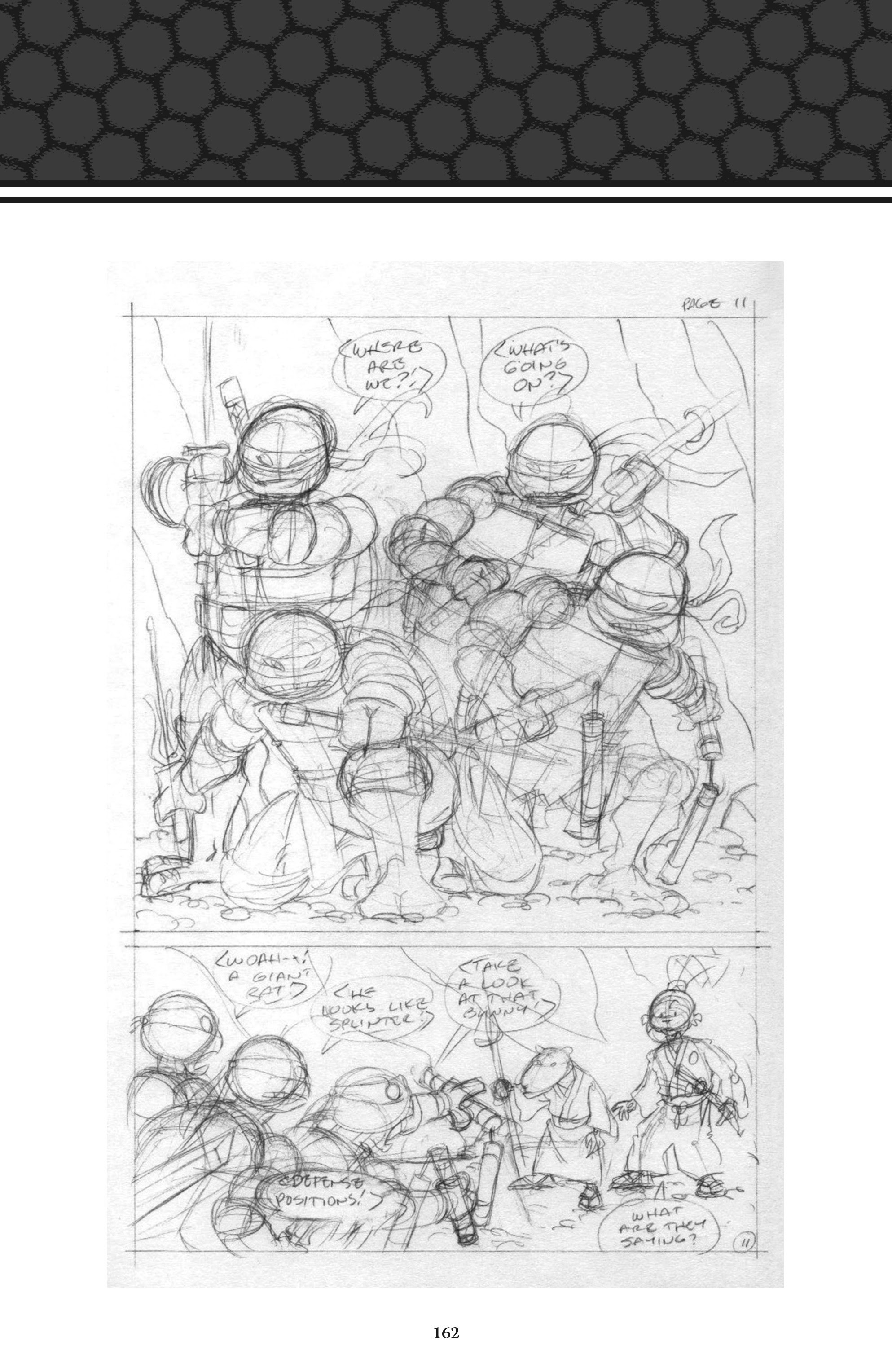 Read online Usagi Yojimbo/Teenage Mutant Ninja Turtles: The Complete Collection comic -  Issue # TPB (Part 2) - 53