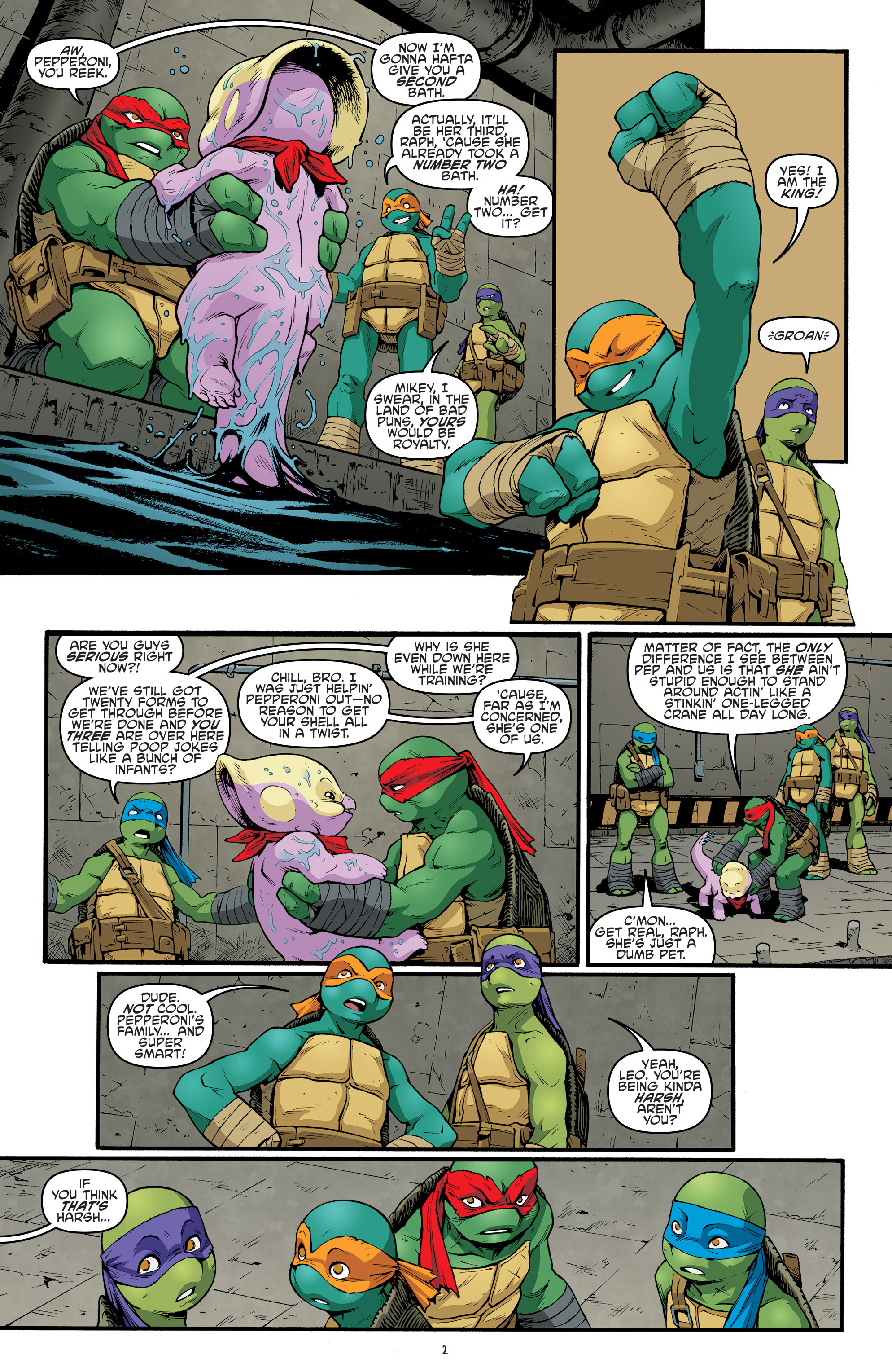 Read online Teenage Mutant Ninja Turtles (2011) comic -  Issue #68 - 4