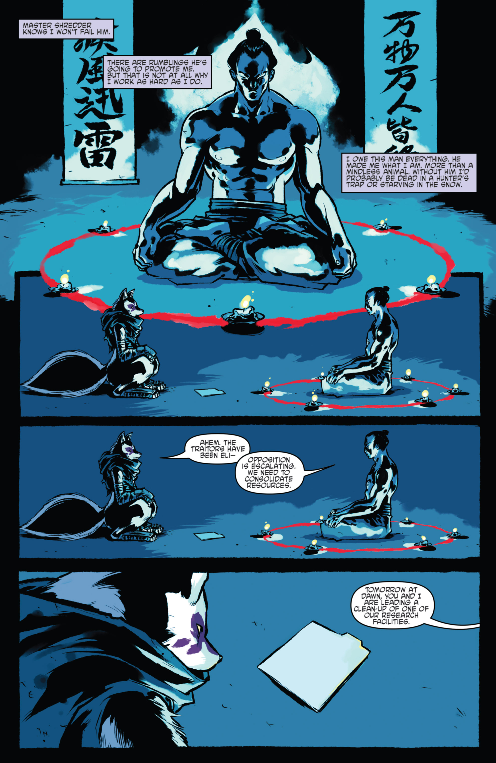 Read online Teenage Mutant Ninja Turtles Villains Microseries comic -  Issue #4 - 10
