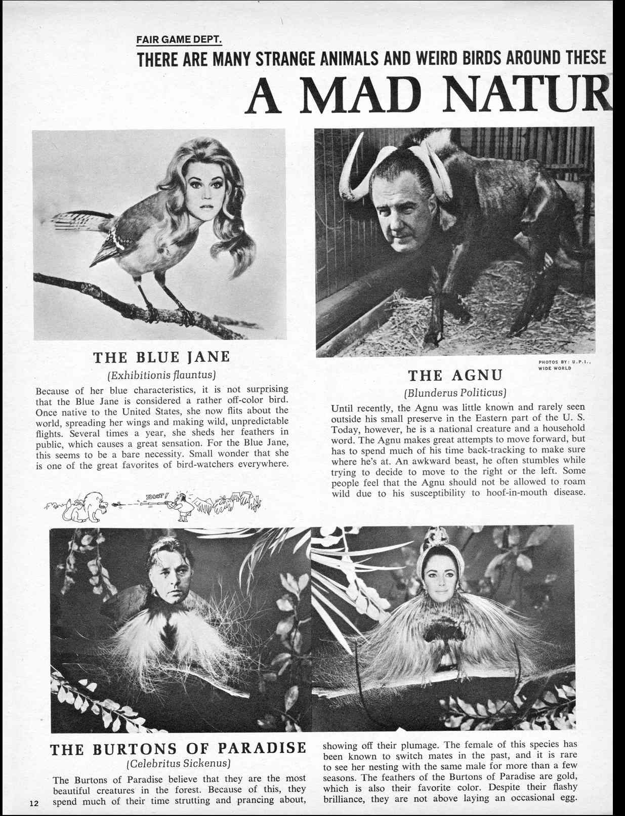 Read online MAD comic -  Issue #128 - 14