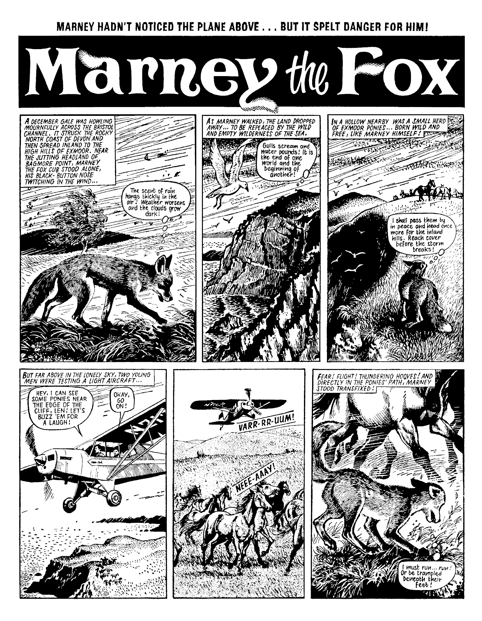 Read online Marney the Fox comic -  Issue # TPB (Part 1) - 45