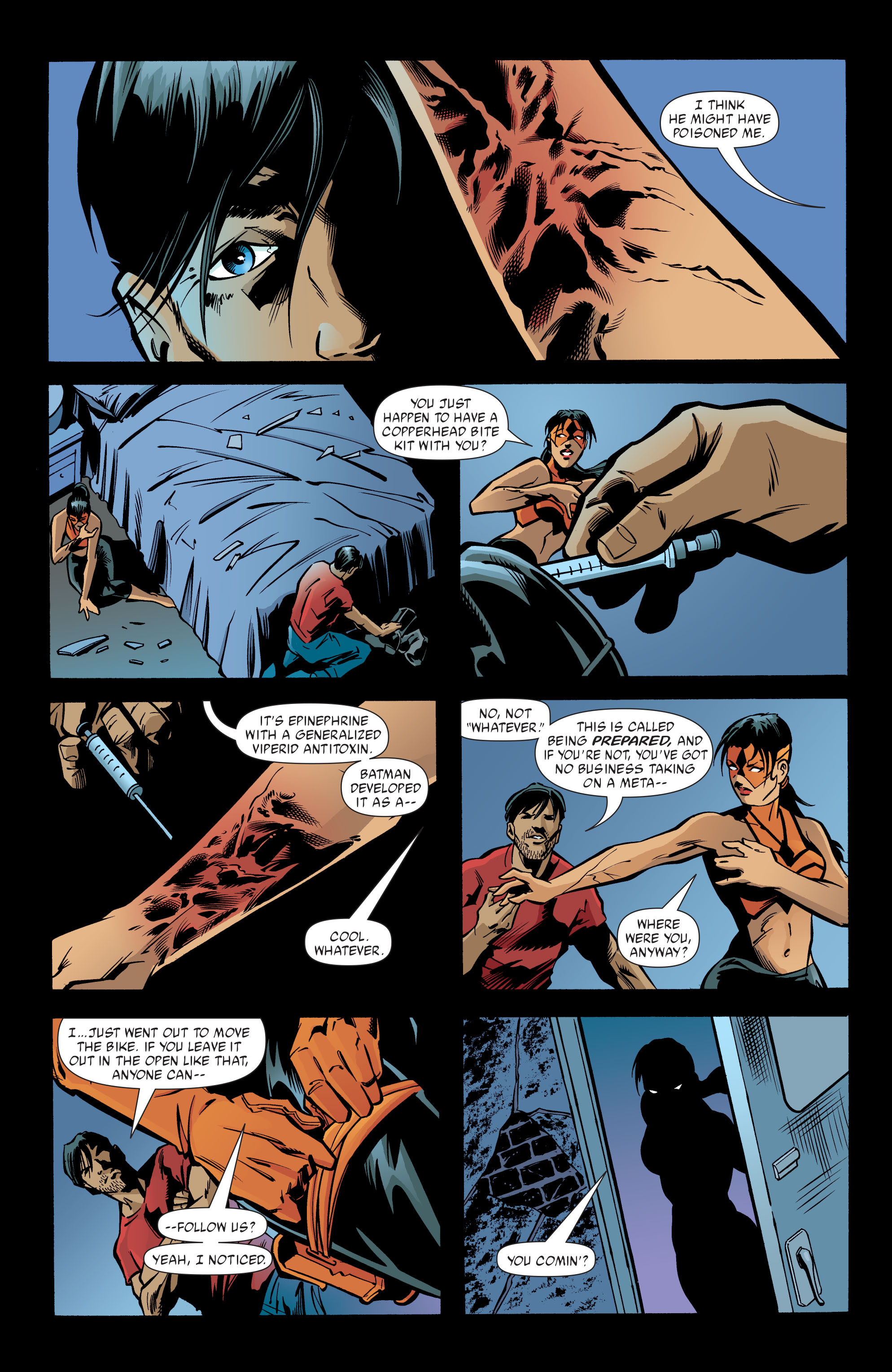 Read online Nightwing (1996) comic -  Issue #94 - 16