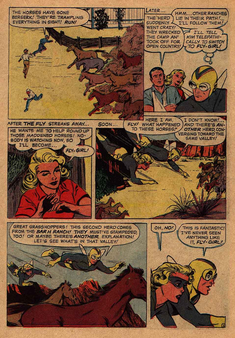 Adventures of the Fly issue 18 - Page 17
