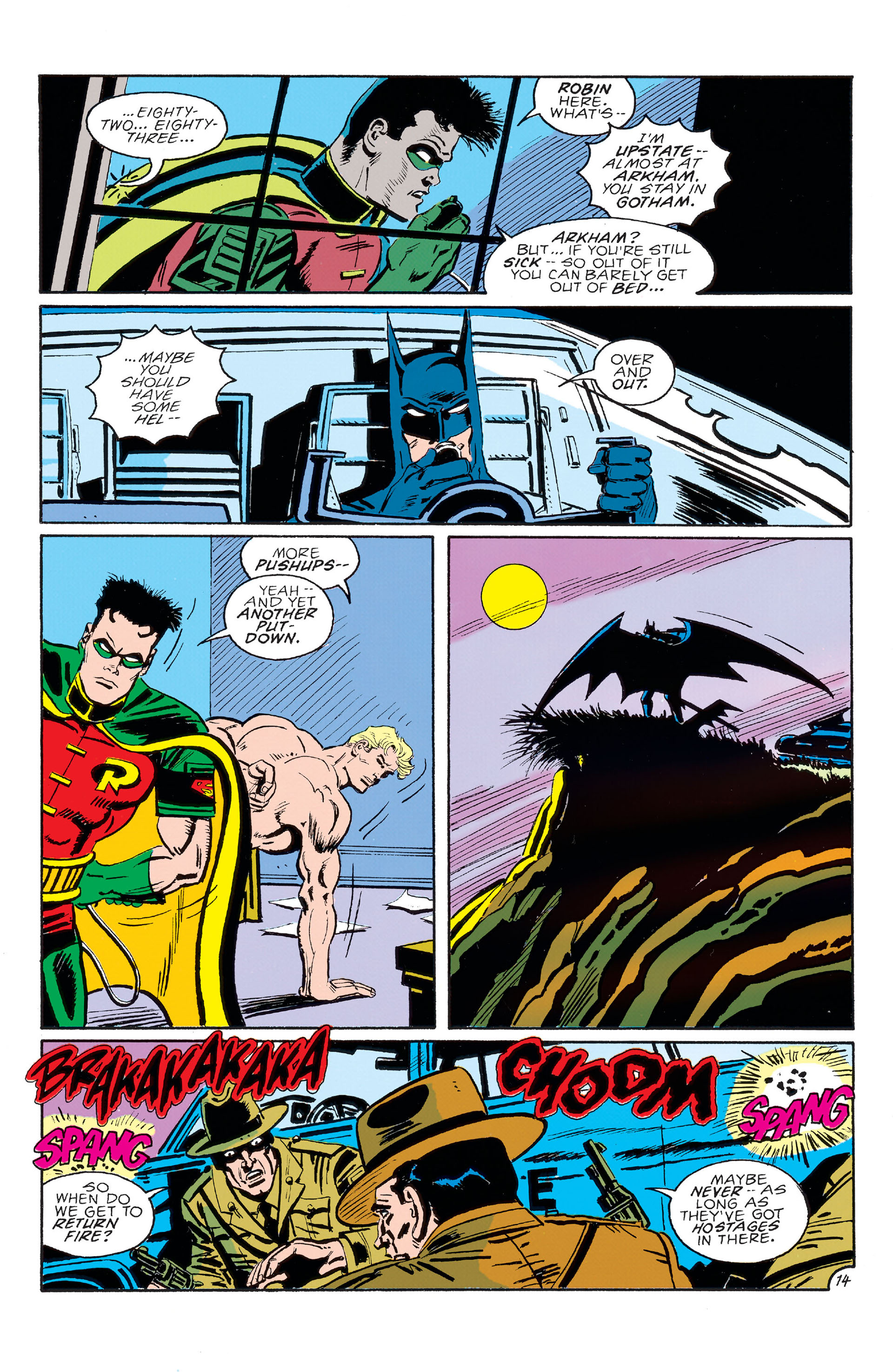 Read online Batman (1940) comic -  Issue #491 - 15