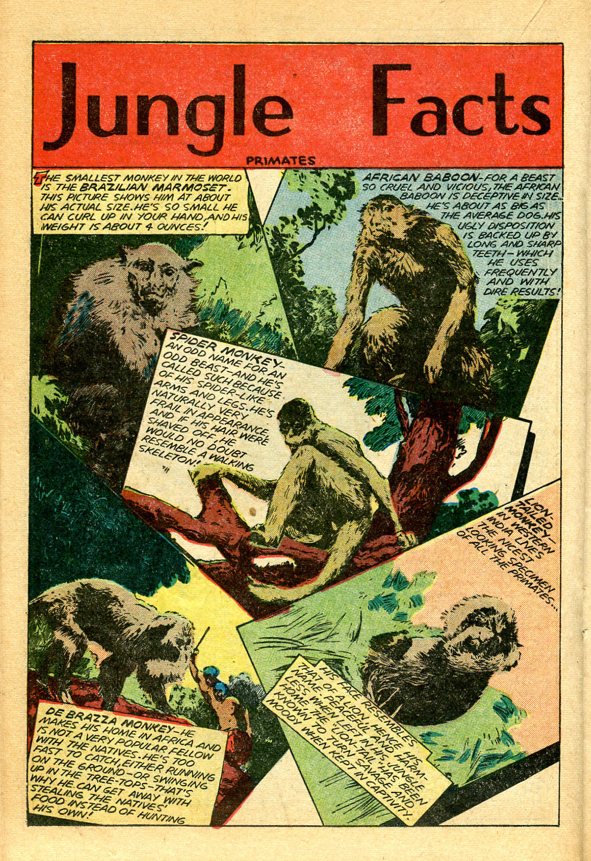 Read online Jungle Comics comic -  Issue #119 - 28