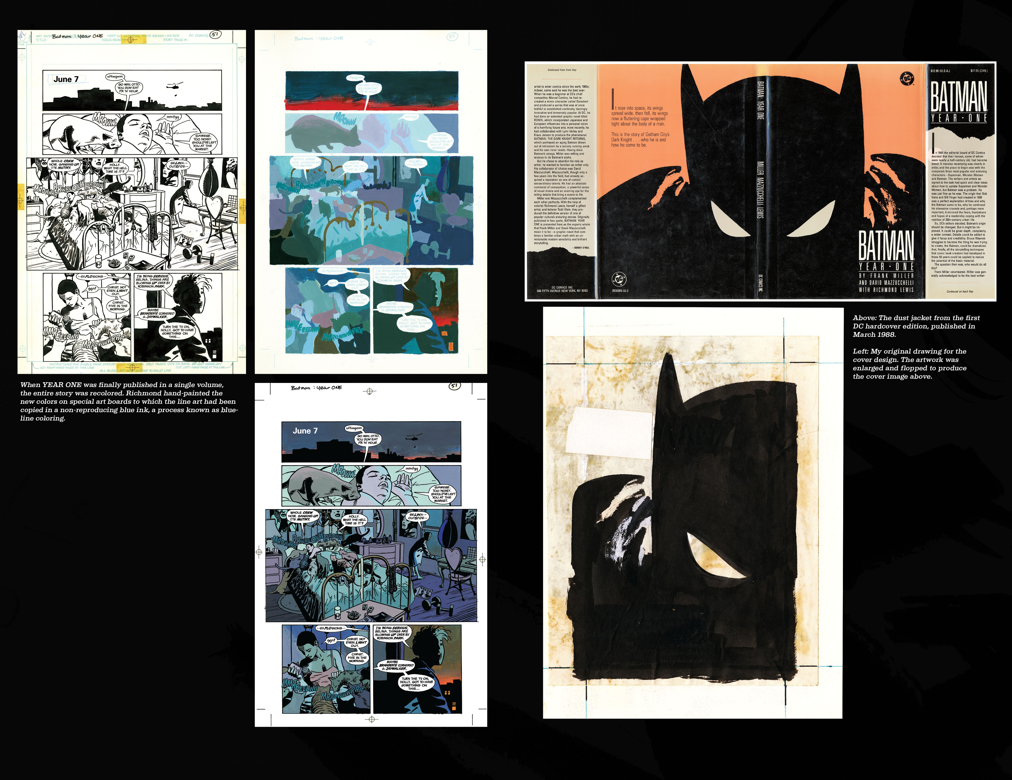 Read online Batman: Year One: The Deluxe Edition comic -  Issue # TPB - 123
