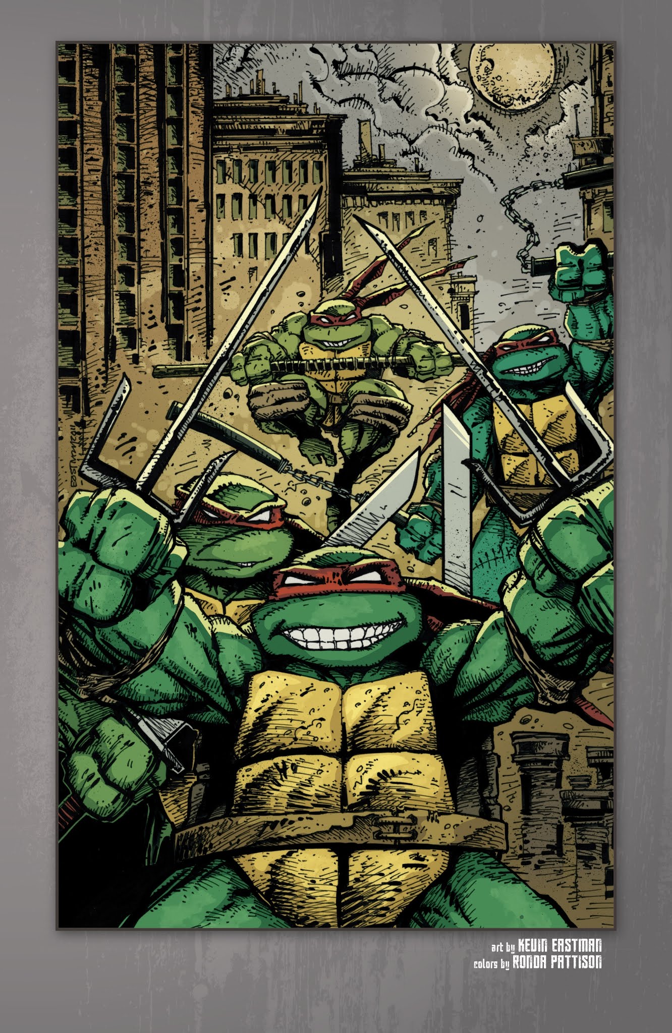 Read online Teenage Mutant Ninja Turtles: The IDW Collection comic -  Issue # TPB 1 (Part 2) - 2