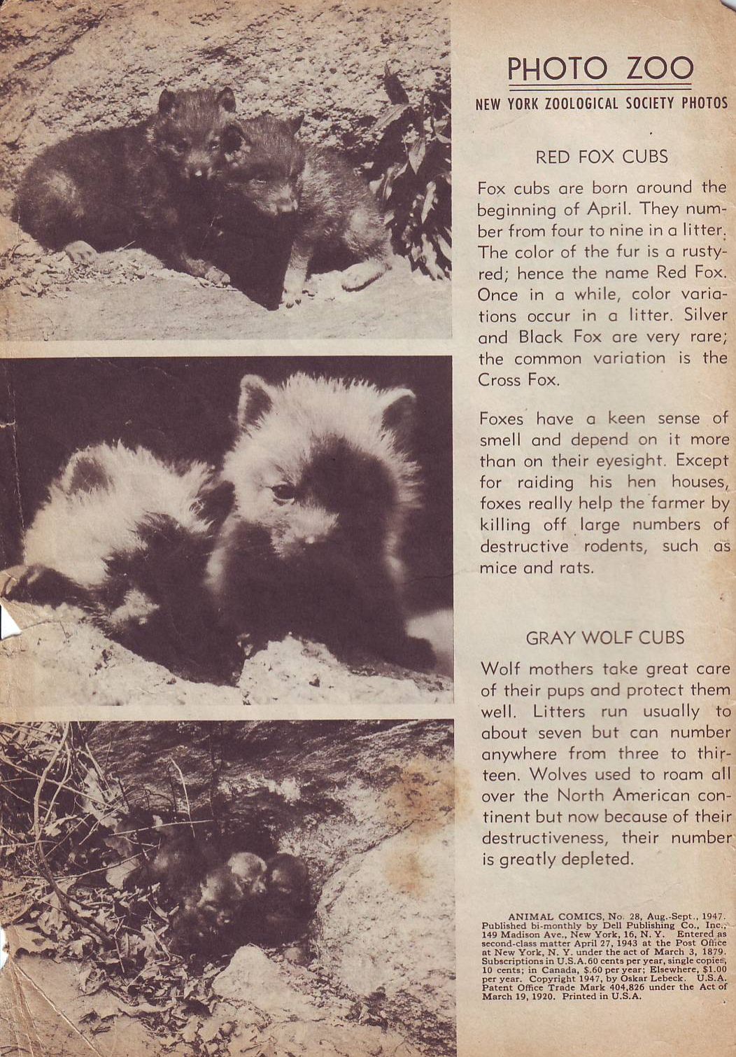 Read online Animal Comics comic -  Issue #28 - 2