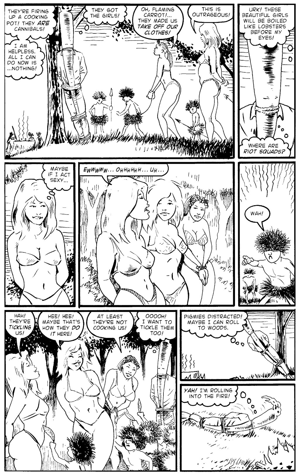 Read online Flaming Carrot Comics (2004) comic -  Issue #1 - 24