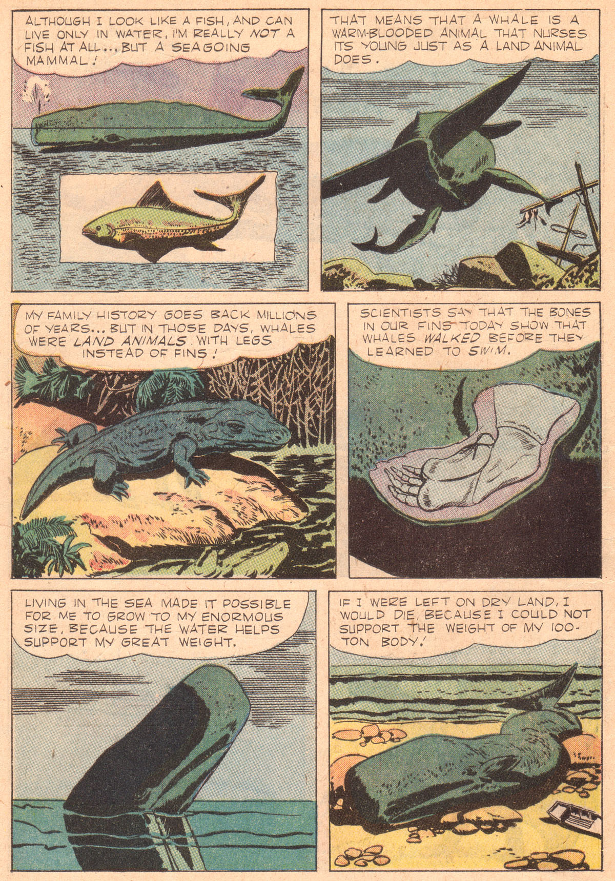 Read online Four Color Comics comic -  Issue #842 - 5