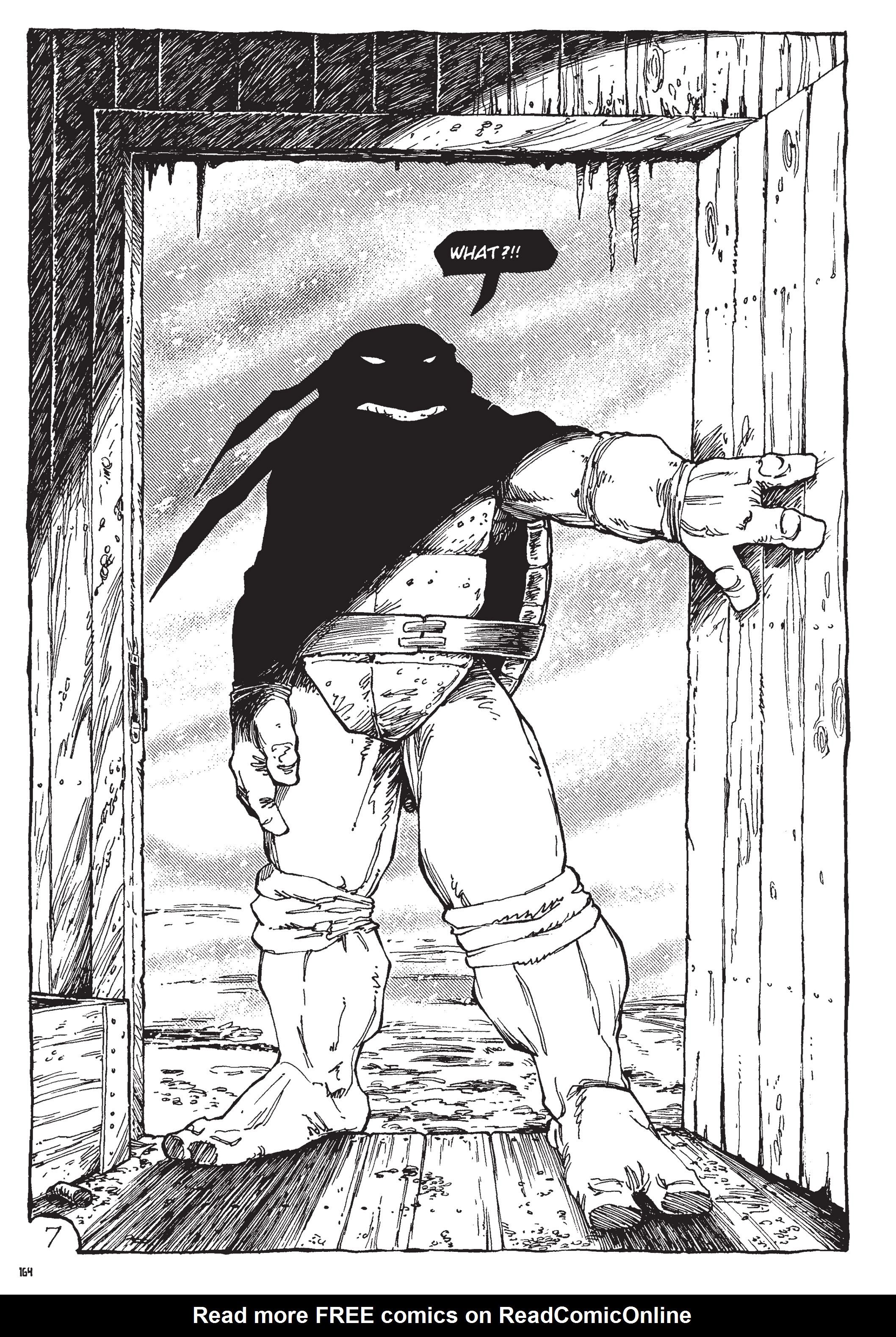 Read online Teenage Mutant Ninja Turtles: The Ultimate Collection comic -  Issue # TPB 3 (Part 2) - 61