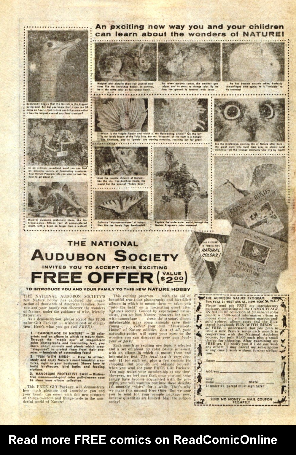 Read online Dark Shadows (1957) comic -  Issue #2 - 24