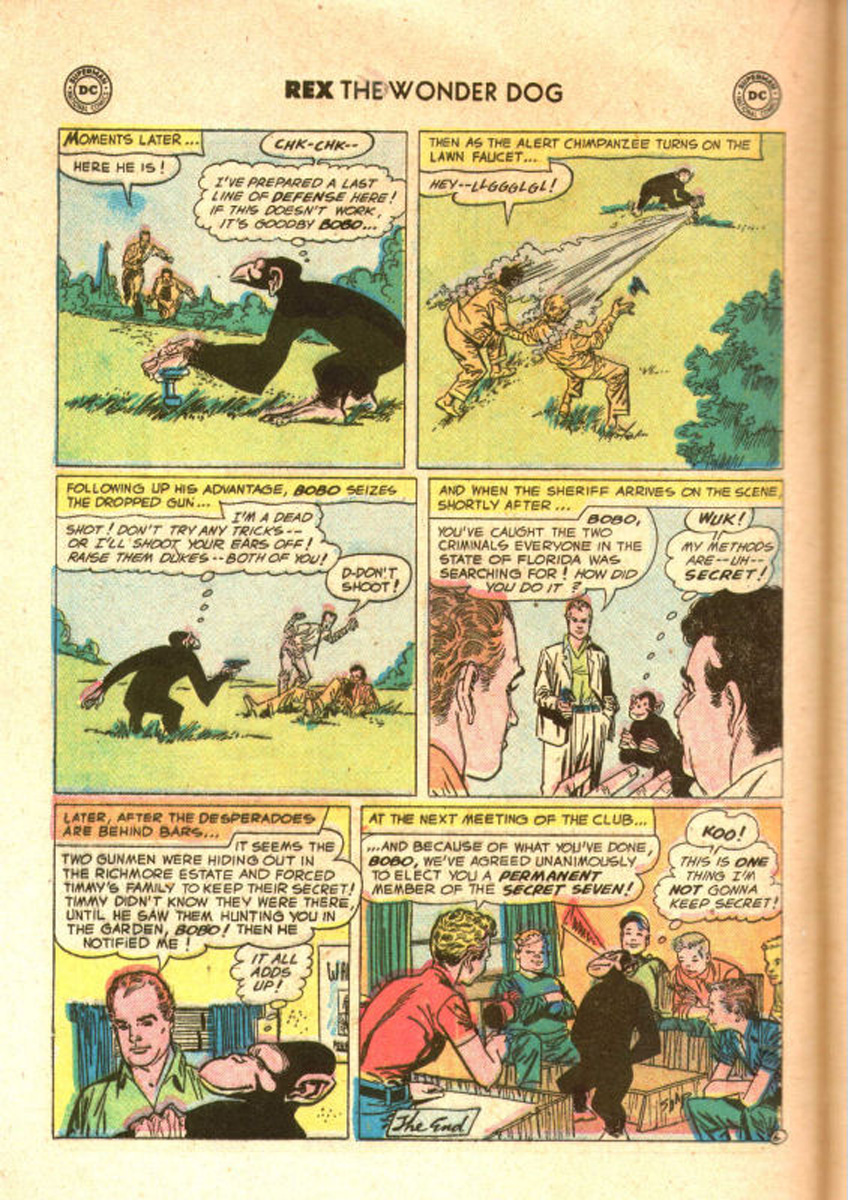Read online The Adventures of Rex the Wonder Dog comic -  Issue #31 - 20