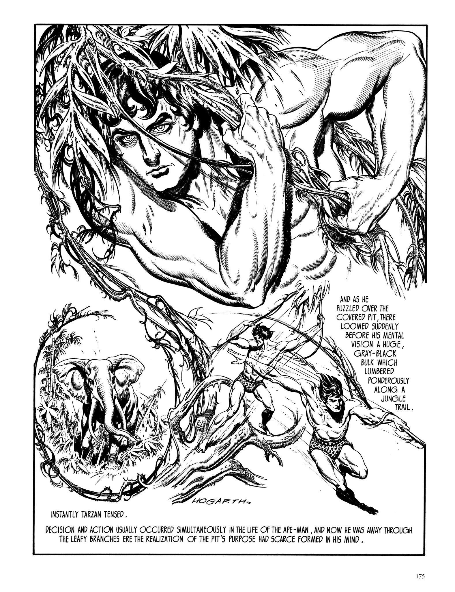 Read online Edgar Rice Burroughs' Tarzan: Burne Hogarth's Lord of the Jungle comic -  Issue # TPB - 174