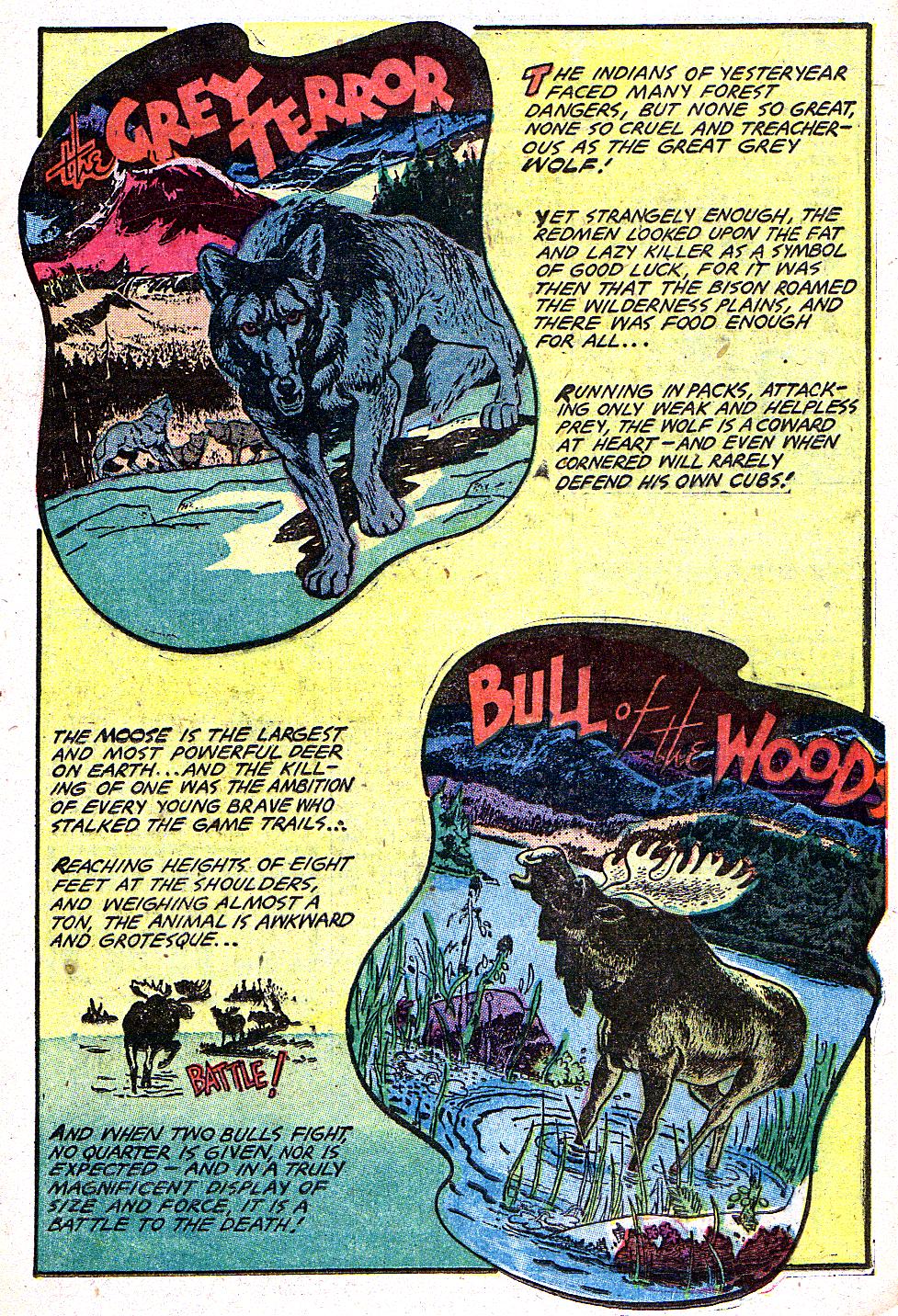 Read online Indians comic -  Issue #11 - 17