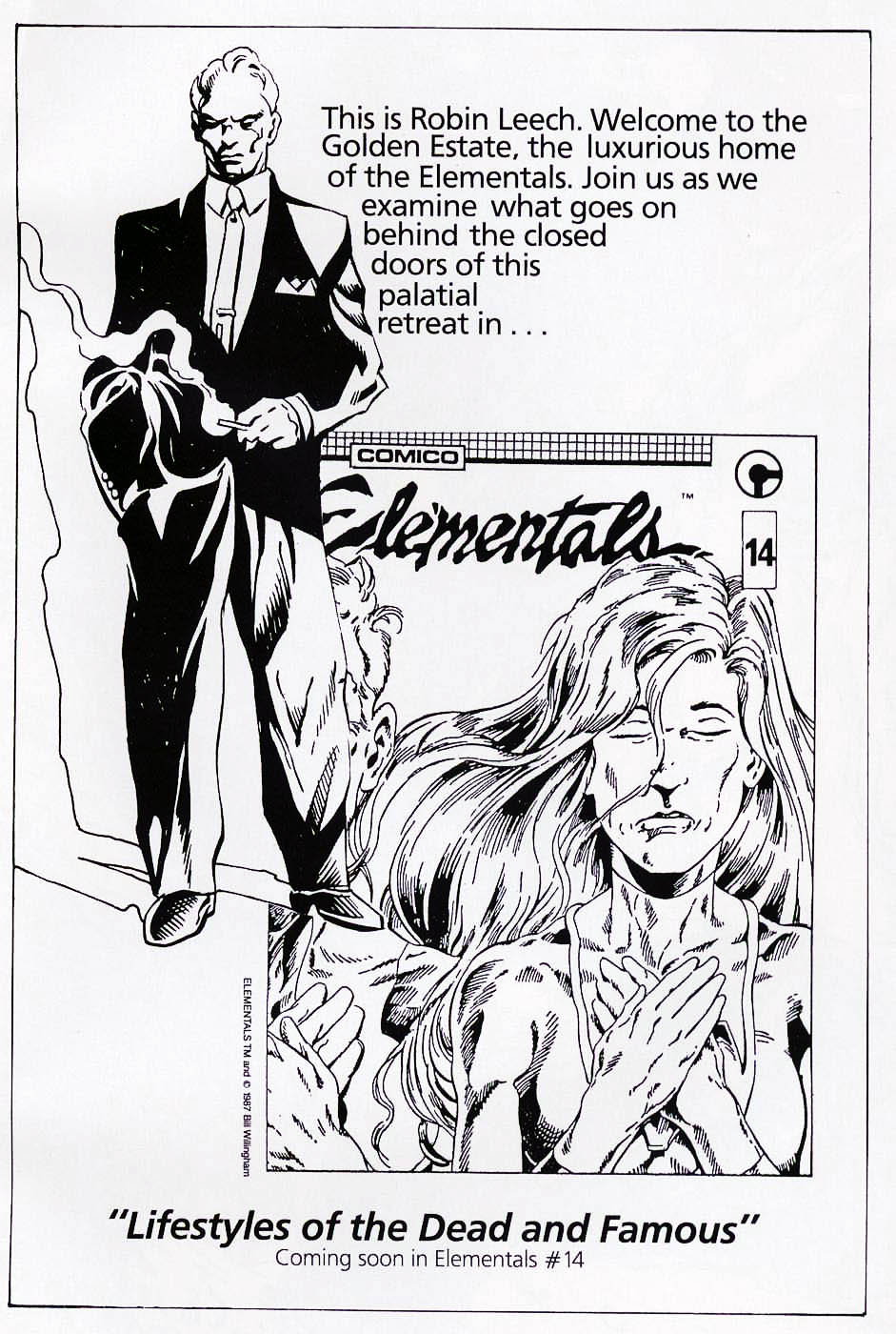 Read online Elementals (1984) comic -  Issue #13 - 29